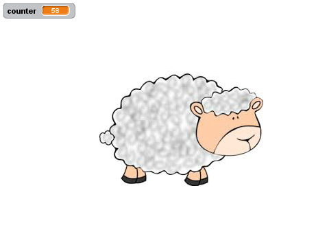 Sheep