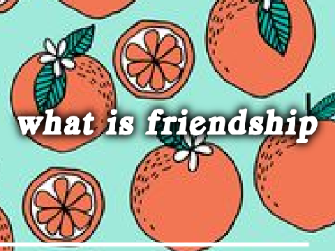 what is friendship?