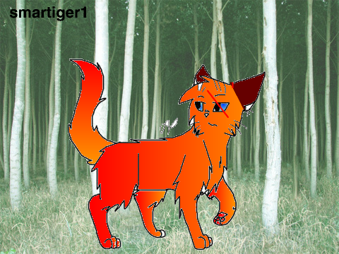Warrior Cat CC /Open remix