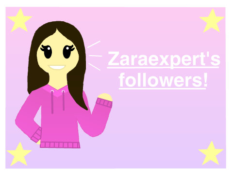 Zaraexpert studio icon