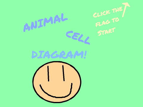 Animal Cell Diagram