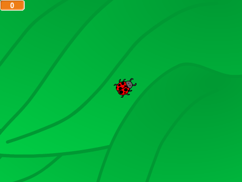 Ladybug Diet Game (Daniel Edition)