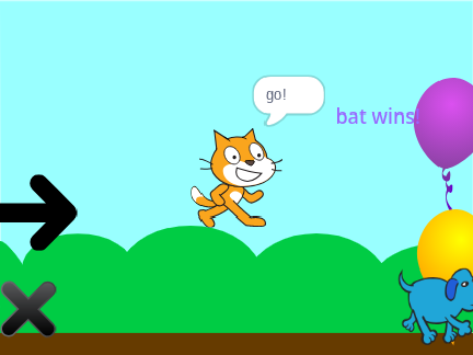 animal race