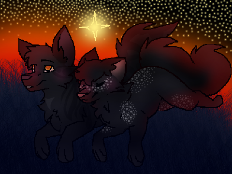 ✧ counting stars [entry] ✧