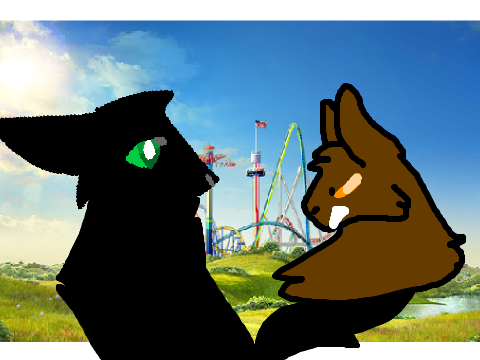 Opinions (WARNING- FLASHING COLORS)