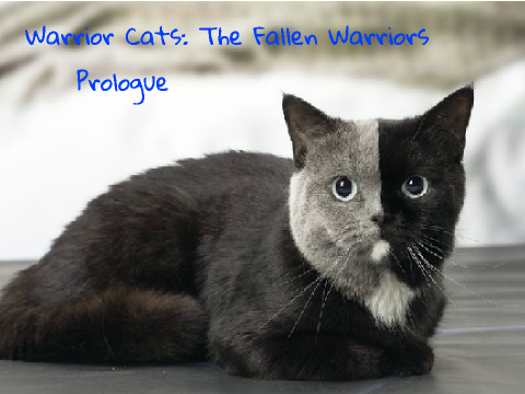 Warrior Cats: The Fallen Warriors(Prologue)