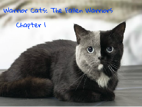 Warrior Cats: The Fallen Warriors(Chapter 1)