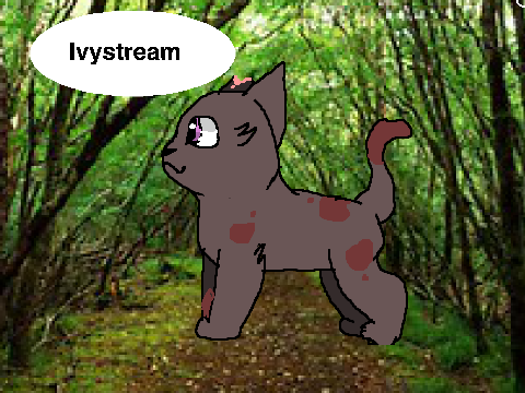 Warrior Cat .:DTA:. (OPEN) remix