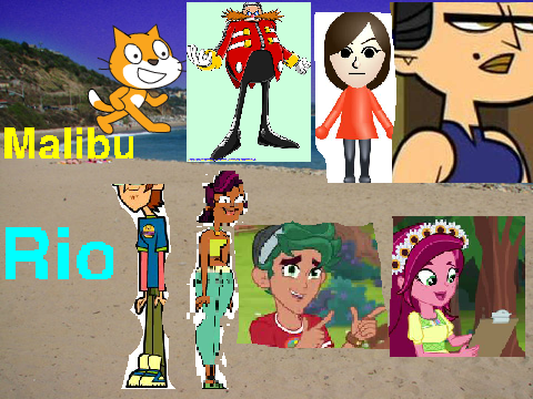 Total Drama Series: Season 4