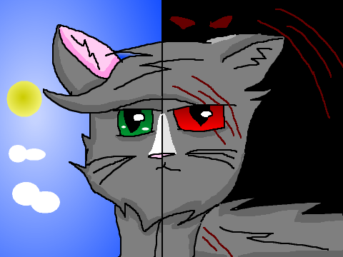 Warrior cats CC Entry