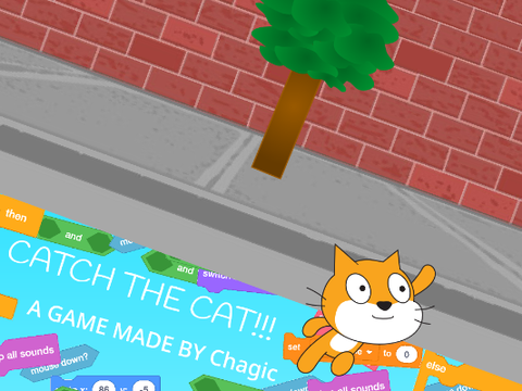 CATCH THE CAT!!!