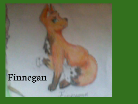 Meadow and Finnegan