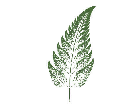 fern