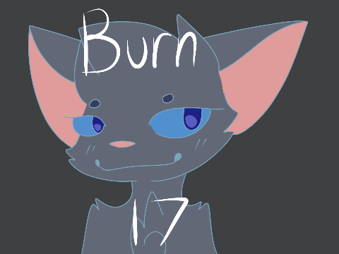 ||Burn|| 17 ||