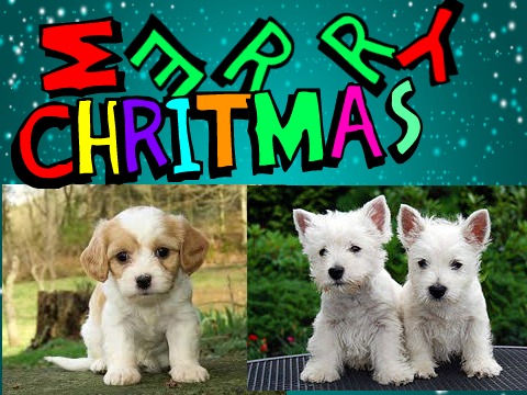 Merry Christmas And Monica to all 