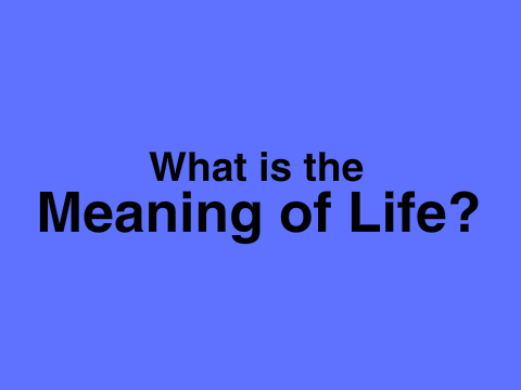 What is the meaning of life?