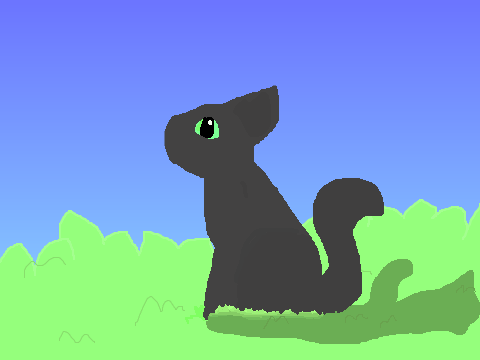 Random cat art
