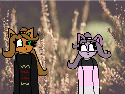 ♥ hit or miss ♥ original meme ♥