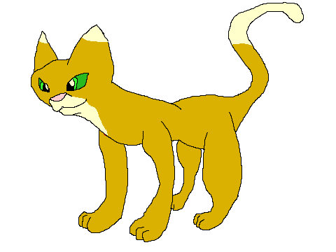 Warrior cat BIO: Applewing