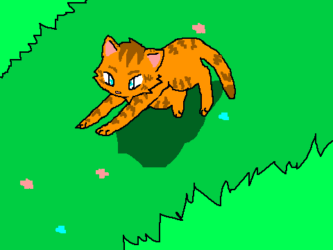 Running kitten for Nicky2590