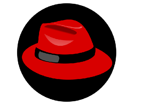 Mr. Red Asks Questions (Test 1)