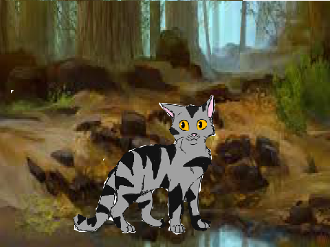 -*-Bumblestripe Art-*-