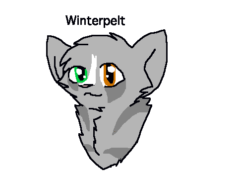 Winterpelt