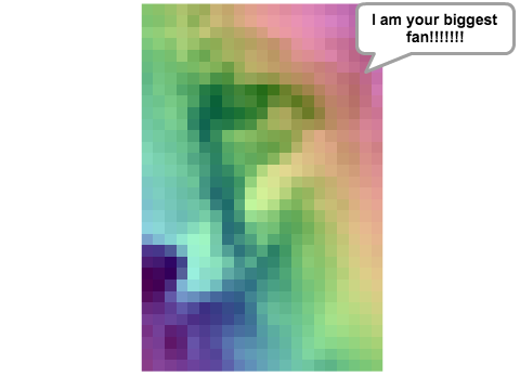 ---RainbowFox---