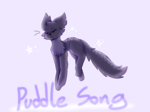{ P u d d l e S o n g }