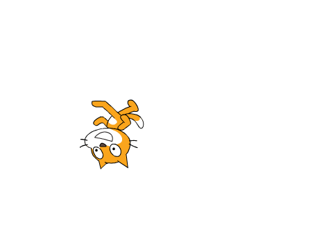 Spinning Cat