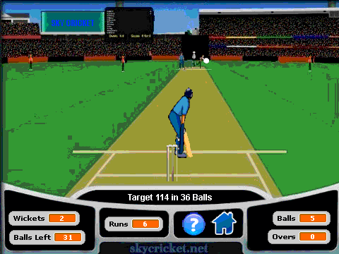 Sky Cricket the game