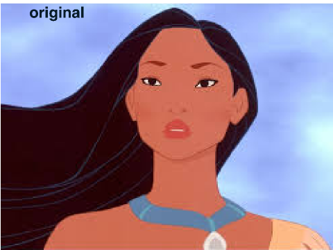 //Pochahontas Speed Blockshade//