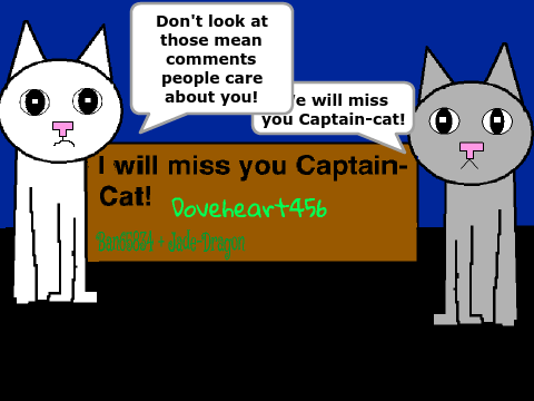 I Will Miss you Captain-Cat! remix