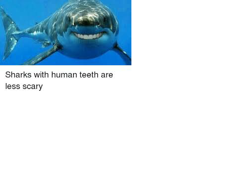 Scariest Sharks