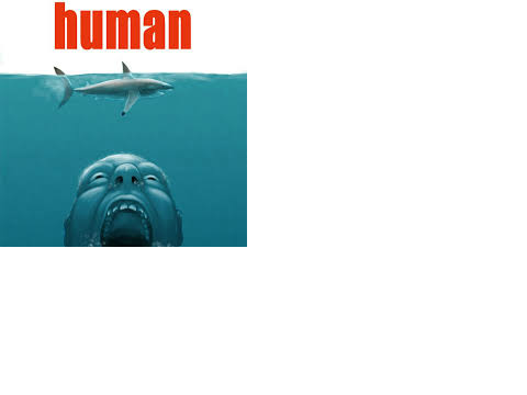 Jaws Movie Parodies