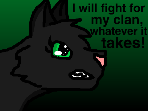 Clan Cat CCE (Hollyleaf)