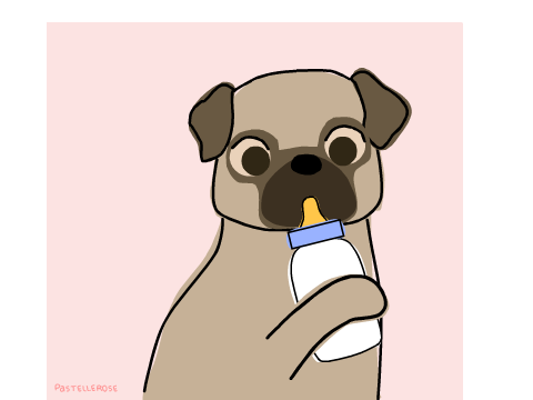 Icon for @Milkpug