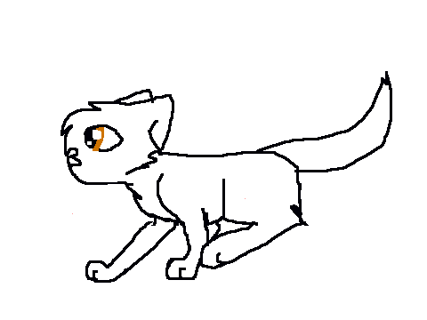 Cat runcycle!