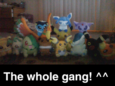My Pokemon Plushie Collection! ^^