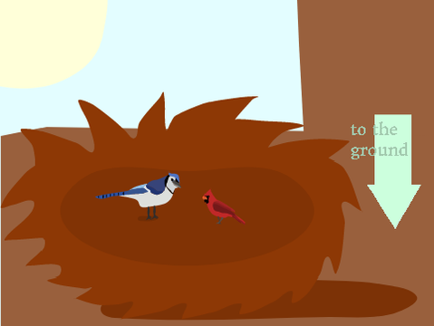 The Bird Colony v01