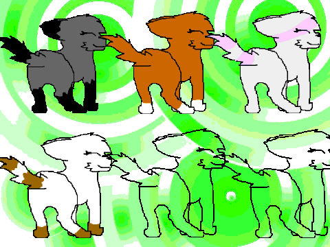 ADD YOURSELF DOING THE TAIL WHIP DANCE!