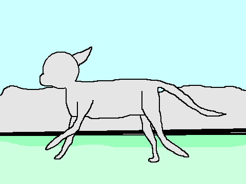 Interactive Animal Transformation (Animation)