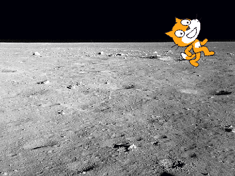 Space Cat!