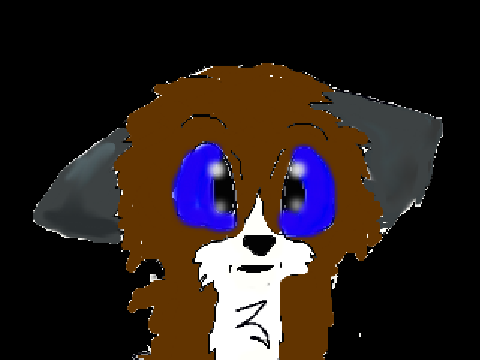 for WildHeart789_reads!