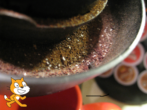 Red's Test Photography (Do YOU like it?)