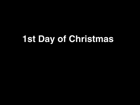 12 Days of Christmas