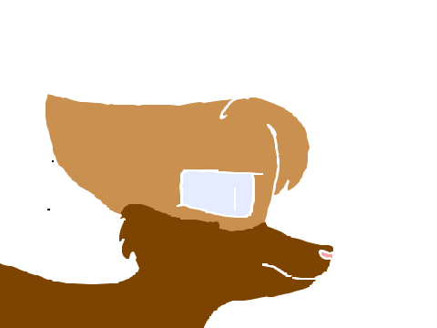 random animation (3.0 test)