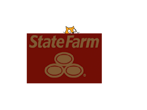 State Farm Cat