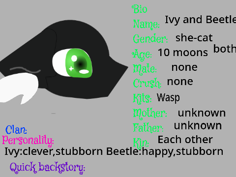 Warrior cat BIO remix Ivy and Bristletail