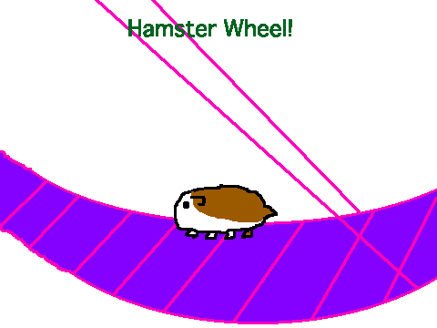 Pet Hamster!